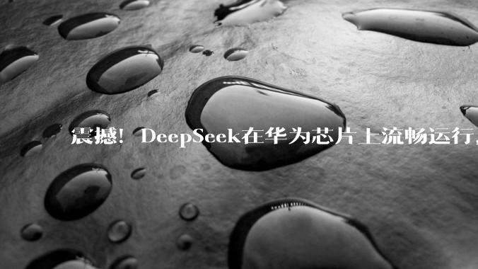 震撼！DeepSeek在华为芯片上流畅运行，750本***一次性吞完！_Lite_参数_模型