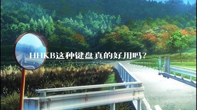 HHKB这种键盘真的好用吗？