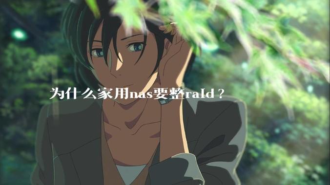 为什么家用nas要整raid?